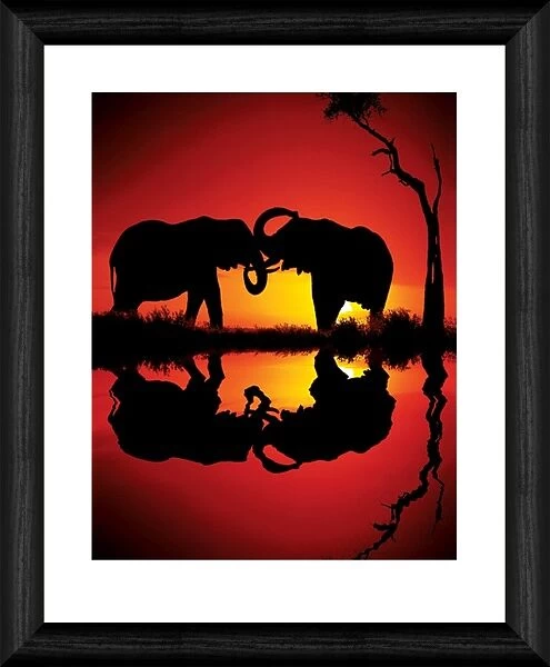 African Dreams 20x16 inch Framed Print