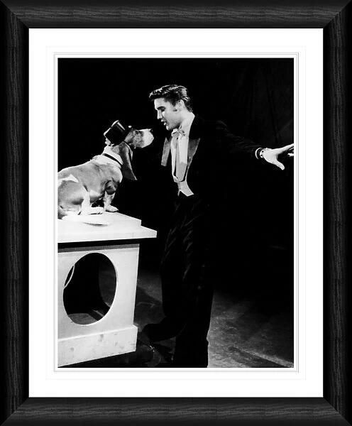 Elvis Presley Hound Dog Framed Print
