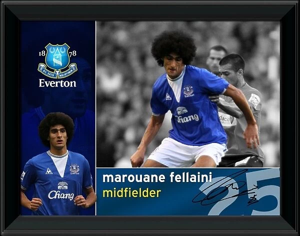 Everton FC Marouane Fellaini Official Framed Player Profile Print