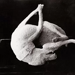 c. 1880s Italy Pompeii - plaster cast, corpse of dog