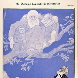 1909 Cartoon Darwin, apes, Haeckel