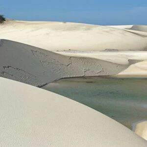 Sand dunes and lake of Lencois Maranhenses National Park, Santo Amaro, Maranh o, Brazil