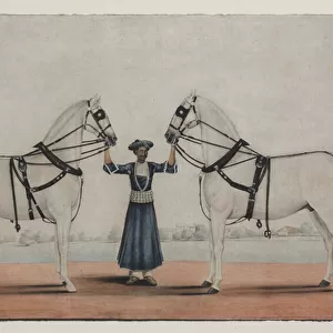 A Syce (Groom) Holding Two Carriage Horses, c. 1845 (opaque w / c on paper)