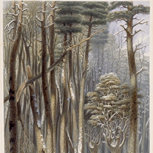 Winter, Impeded Travellers in a Pine Forest, from Harvey