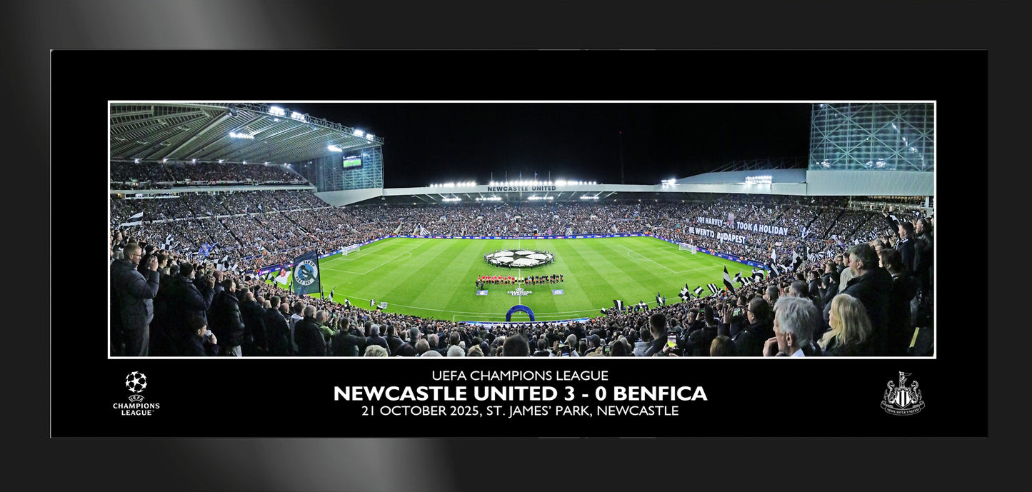 Newcastle United F.C. Panoramic Stadium Tempered Glass Framed Print - 12 x 5