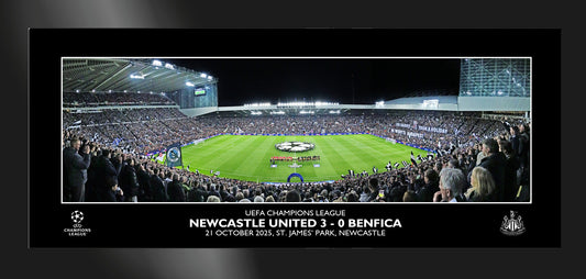 Newcastle United F.C. Panoramic Stadium Tempered Glass Framed Print - 12 x 5