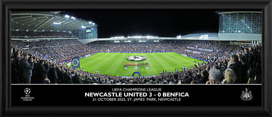 Newcastle United F.C. Panoramic Stadium Framed Print - 30 Inch