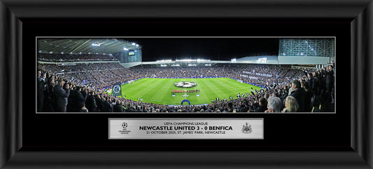 Newcastle United F.C. Panoramic Stadium Framed Print - 20 Inch