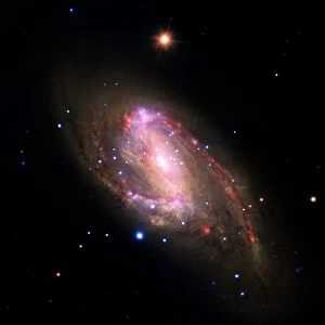 Spiral galaxy NGC 3627, composite image C016 / 9728