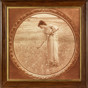 Flowers of the Field (photographic reproduction printed in sepia)