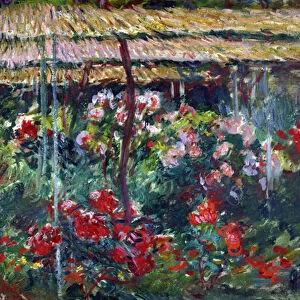 Garden of peonies. (Painting, 1887)