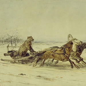 General Toptygin, 1875. Artist: Sokolov, Pyotr Petrovich (1821-1899)